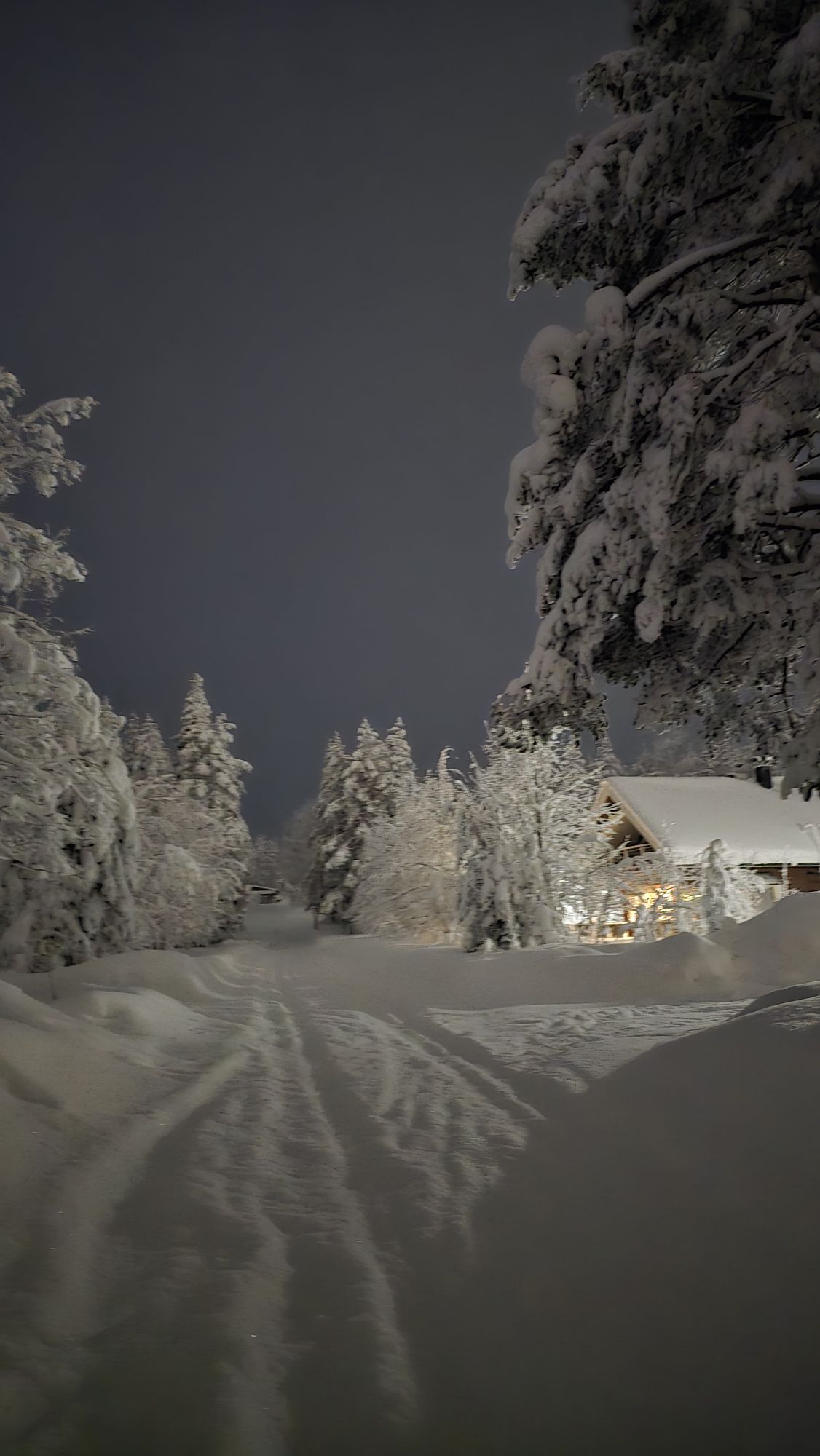 wp-17735908930018245491887165076835