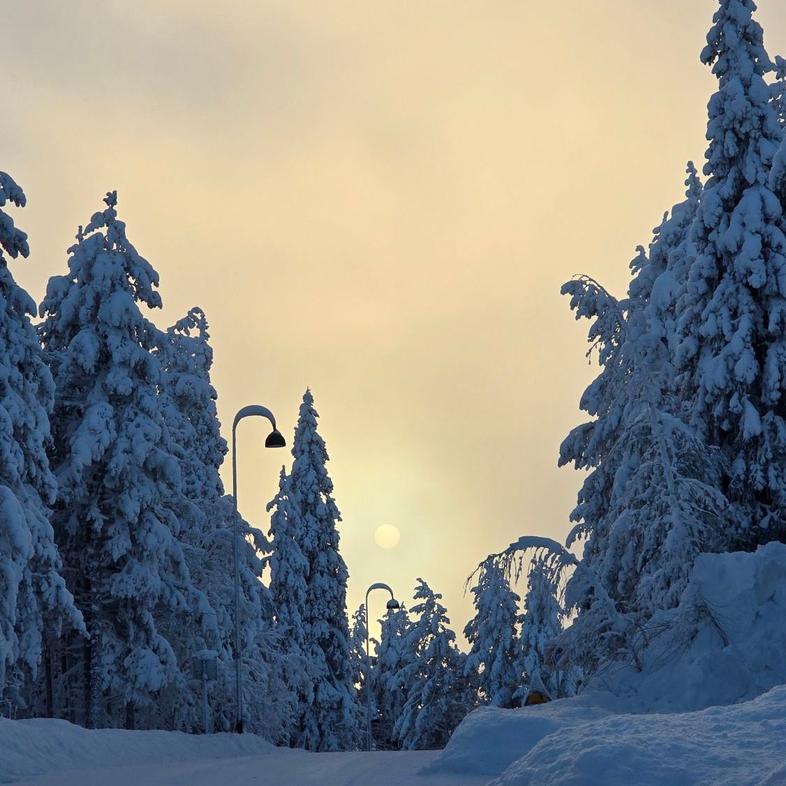 wp-17738385430586781867414029949594