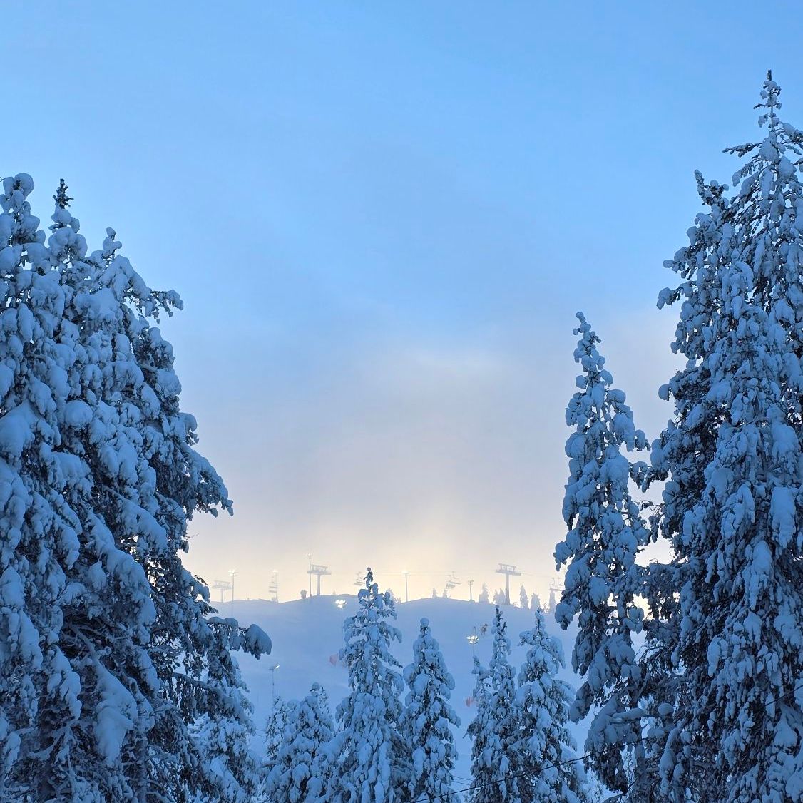 wp-17738385433091129356480759538246