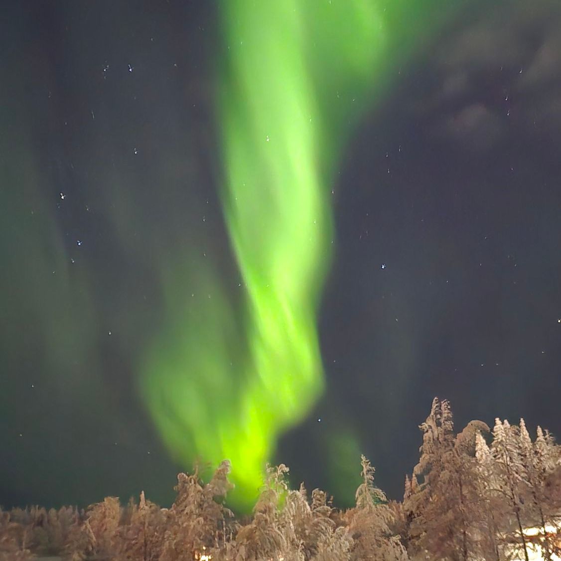 wp-17738389205511721295750909601590