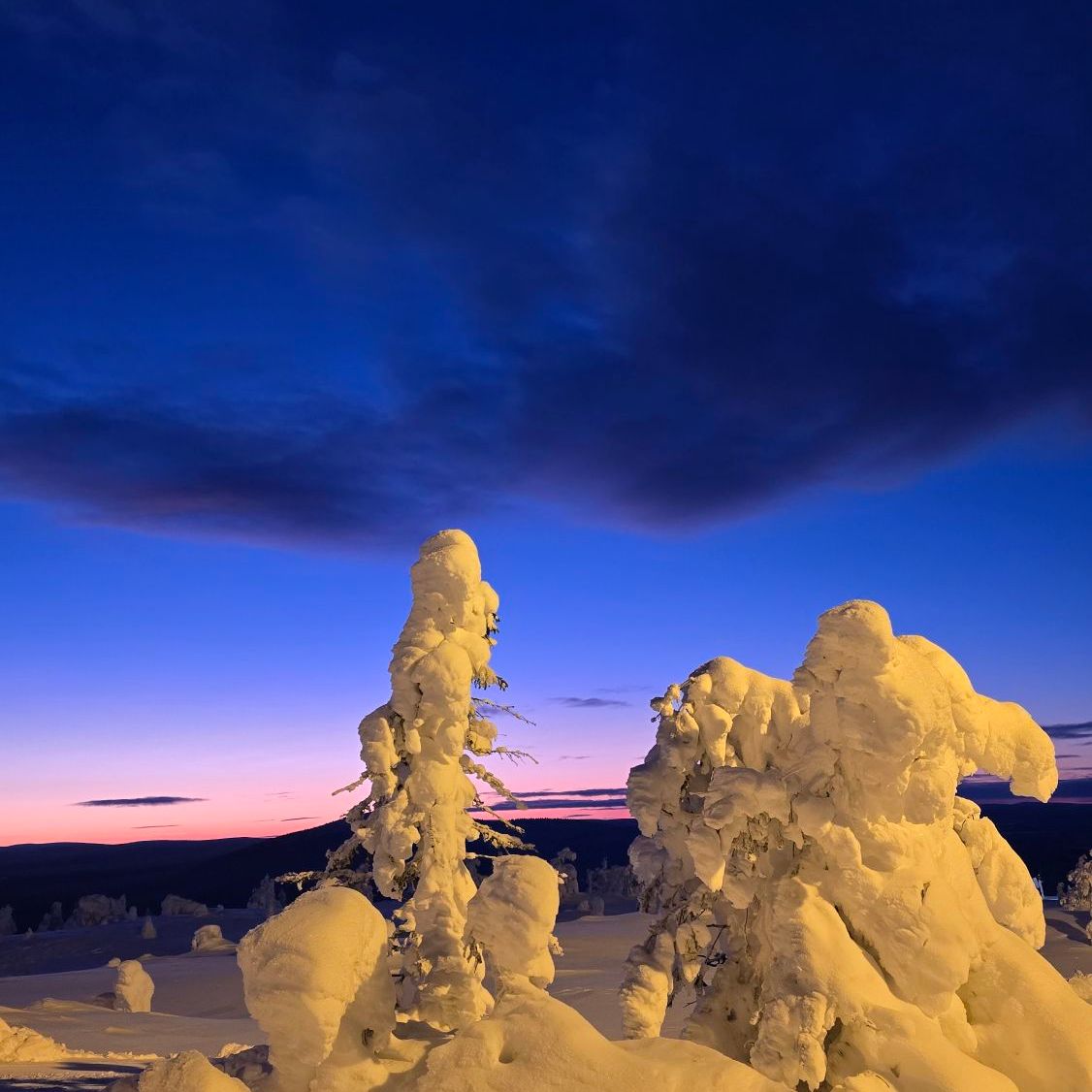 wp-17738389207203189961547038515373