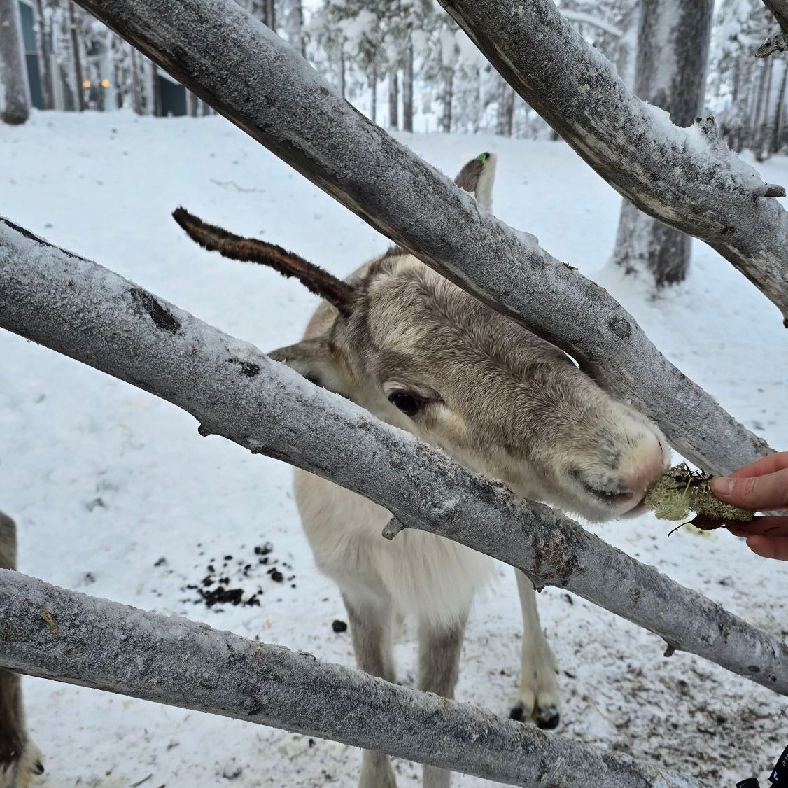 wp-17738389213236744462772087501042