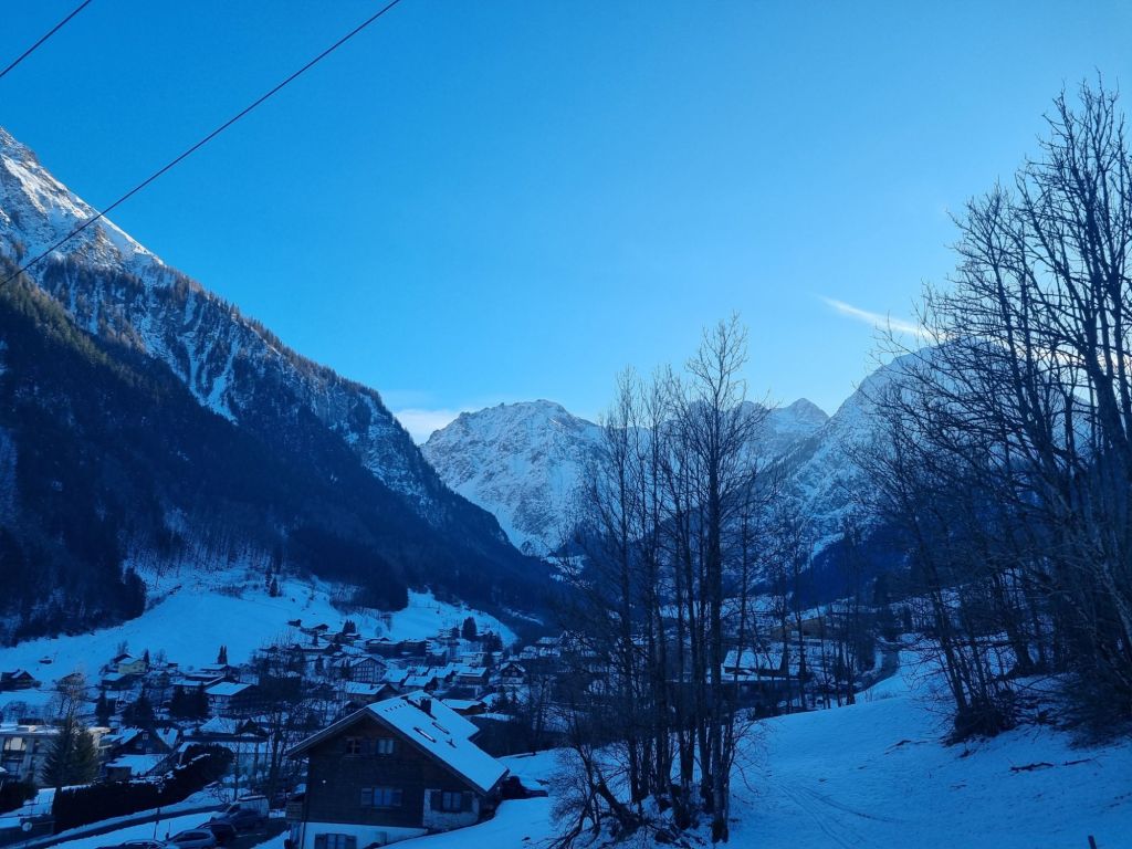 wp-17741012968146398711137725821937