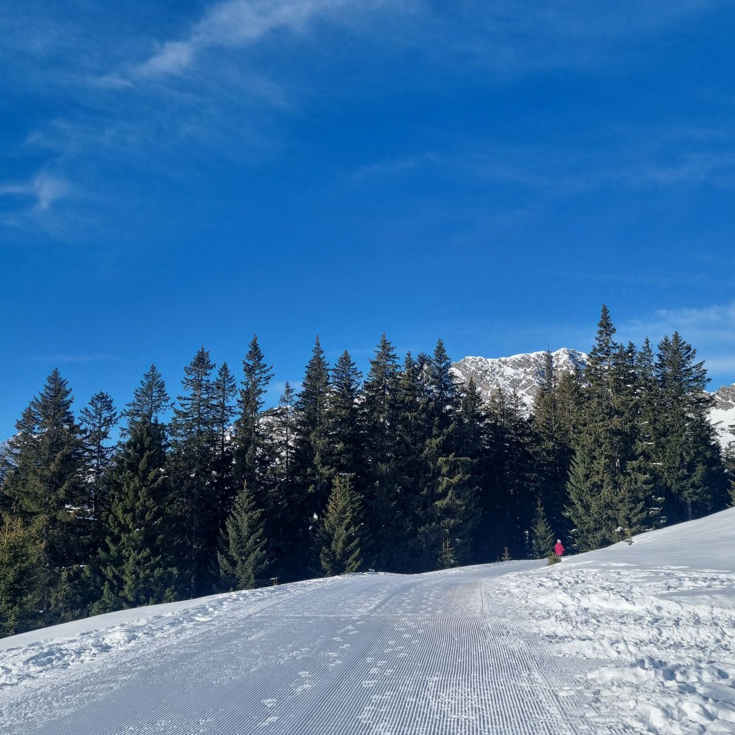 wp-17741018513063694729882957539075