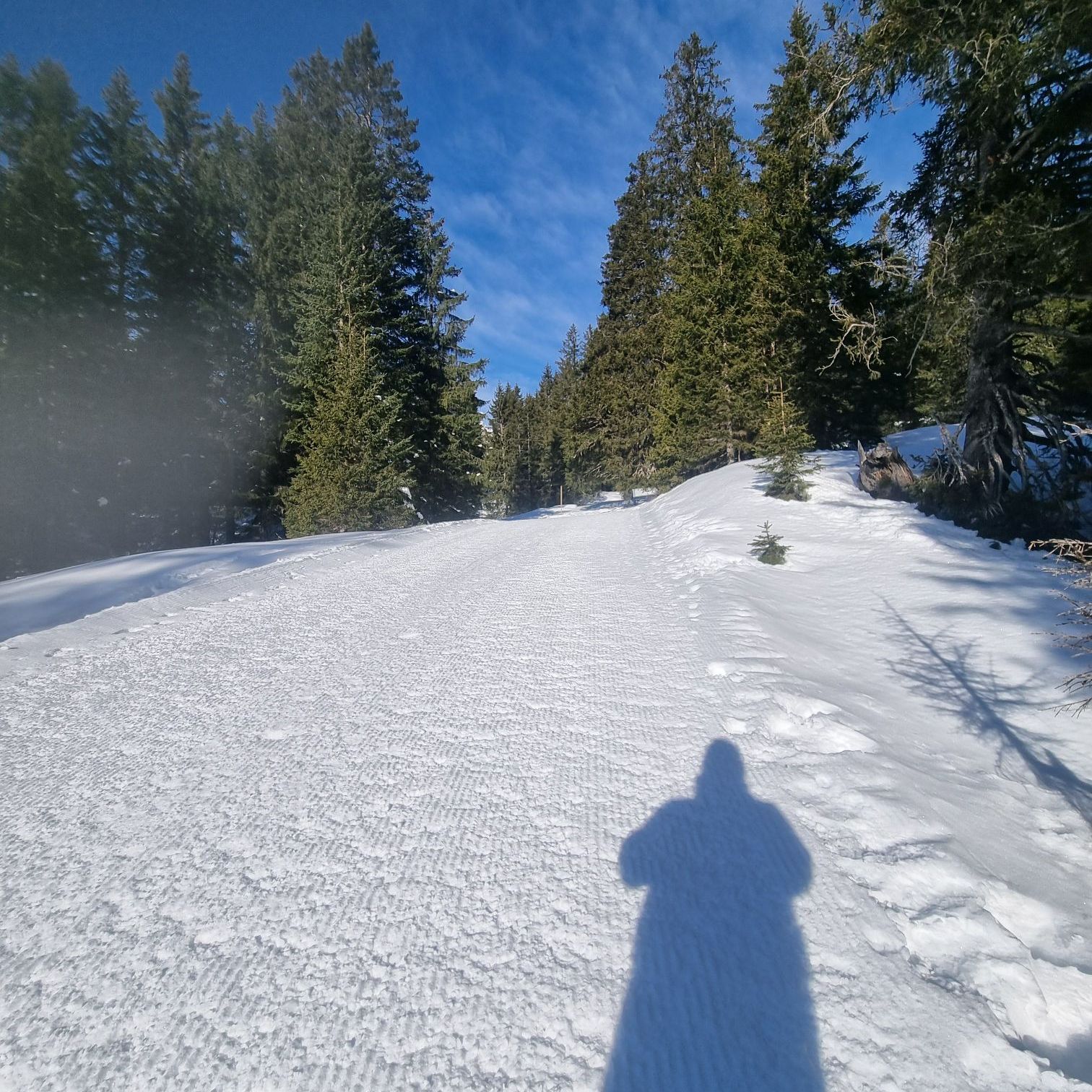 wp-177410185141440184671893149478