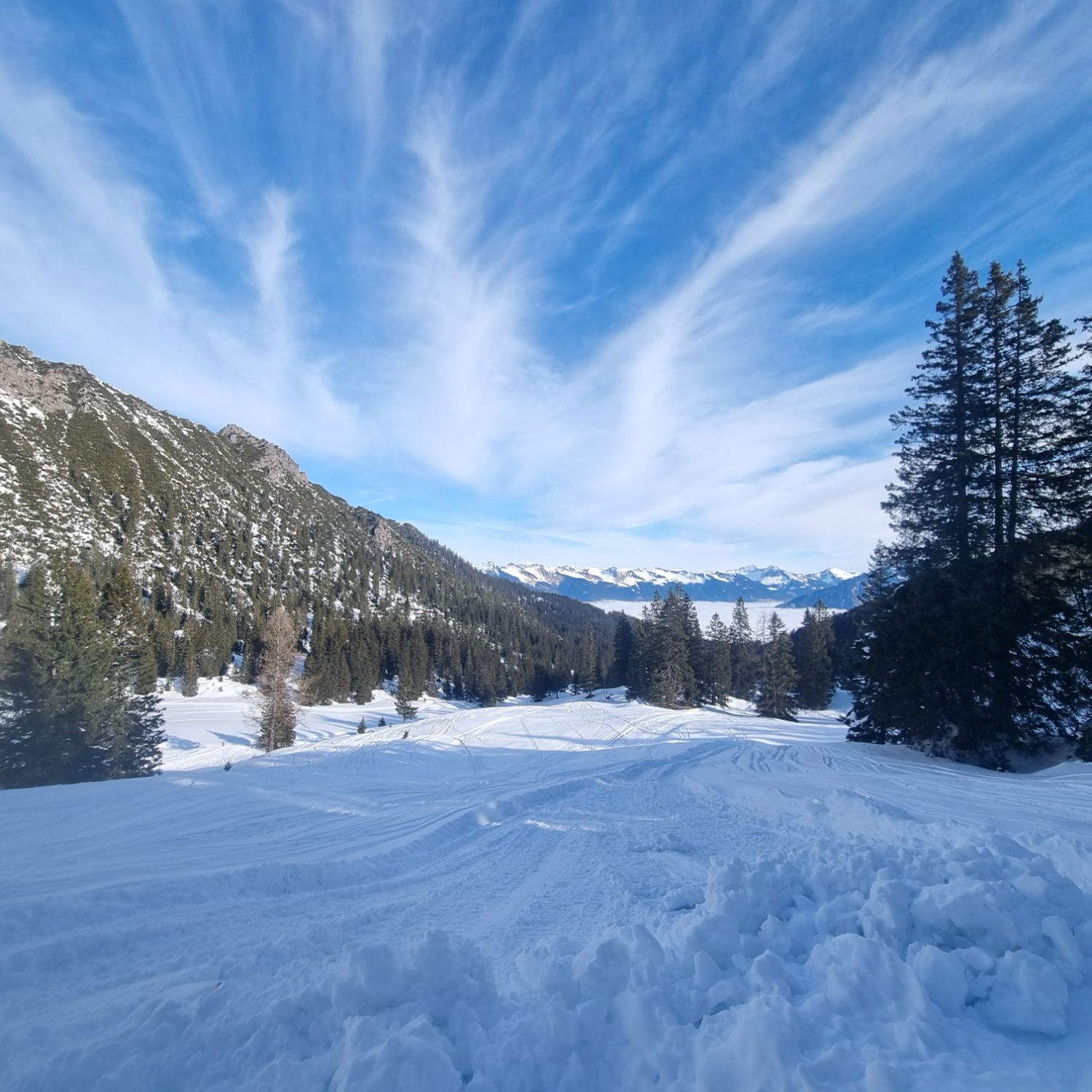 wp-17741018515212689336379875798480