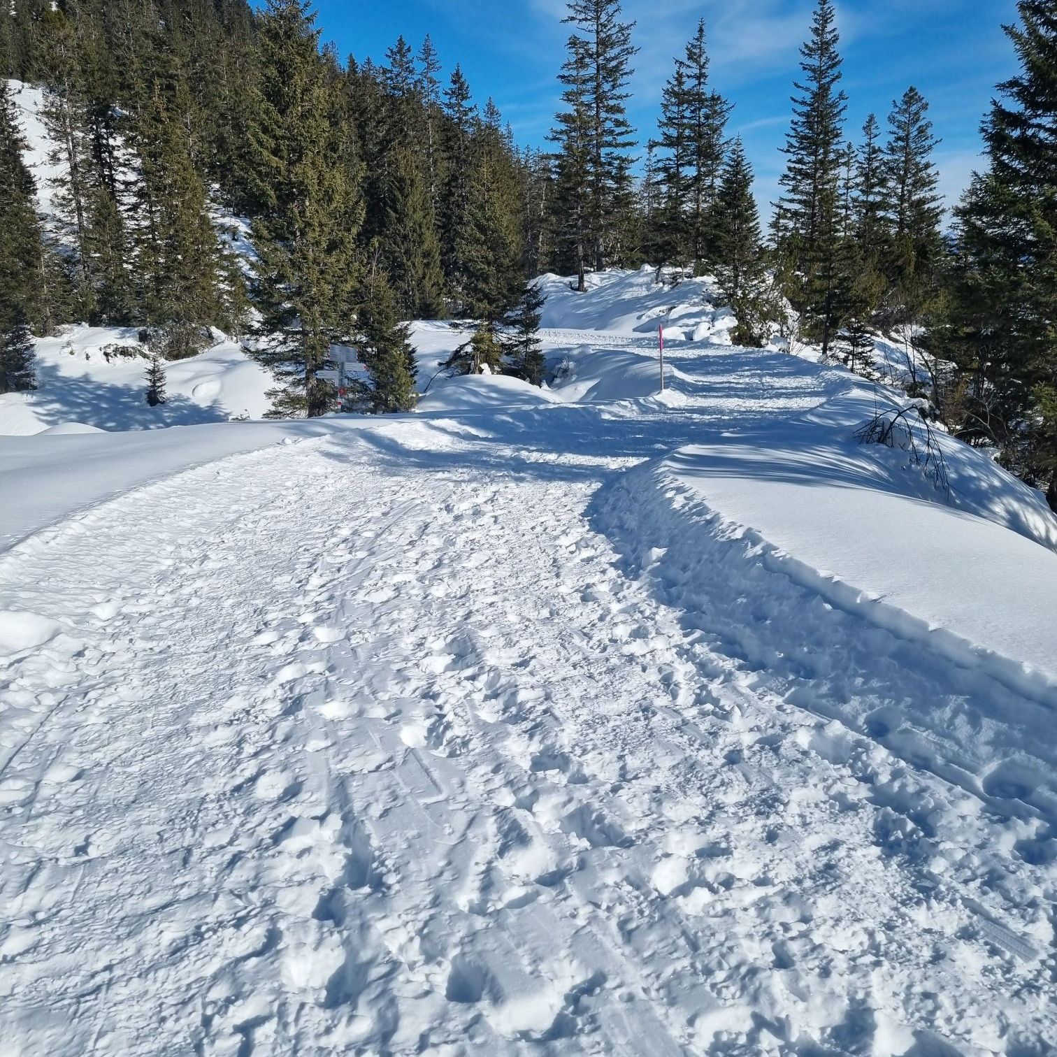 wp-17741018516091708160364064922324