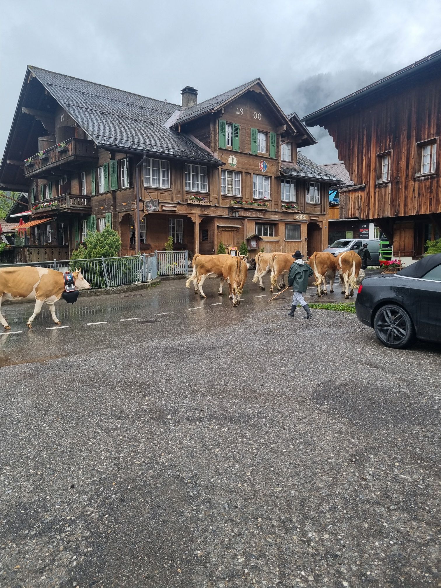 wp-17741870171554206225164400209977