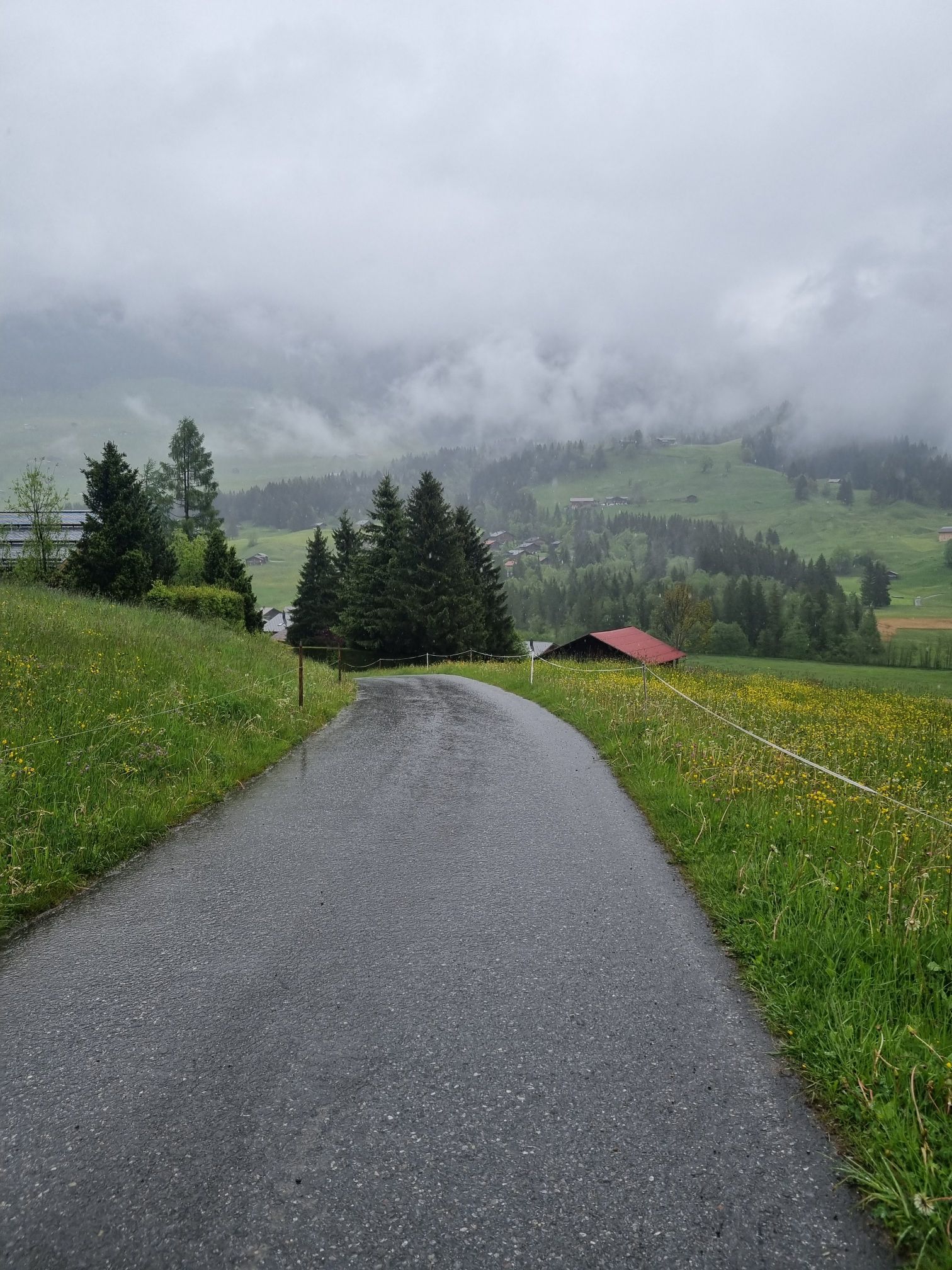 wp-1774187017284983302890740300691