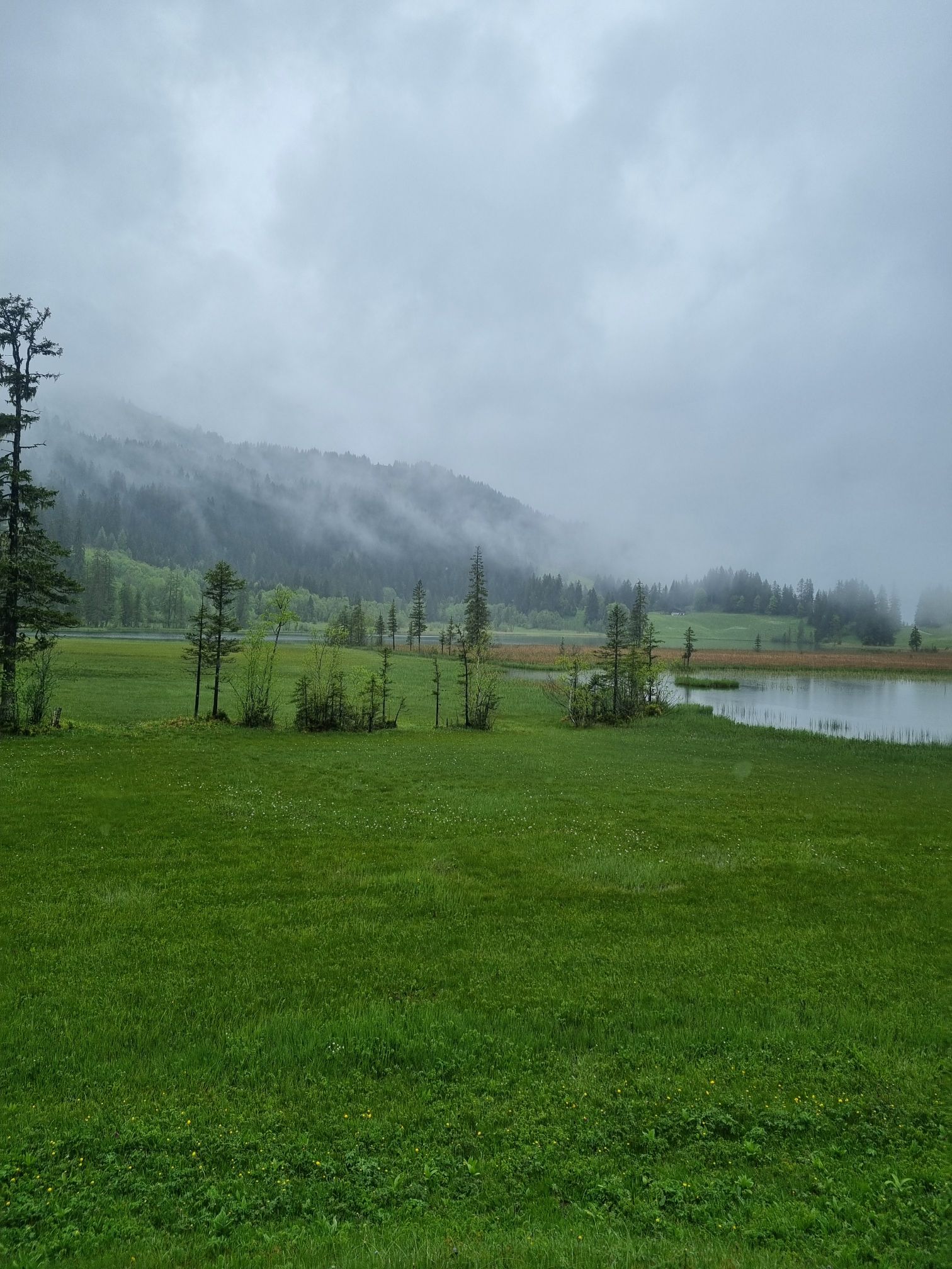 wp-17741870173948369832582068367363