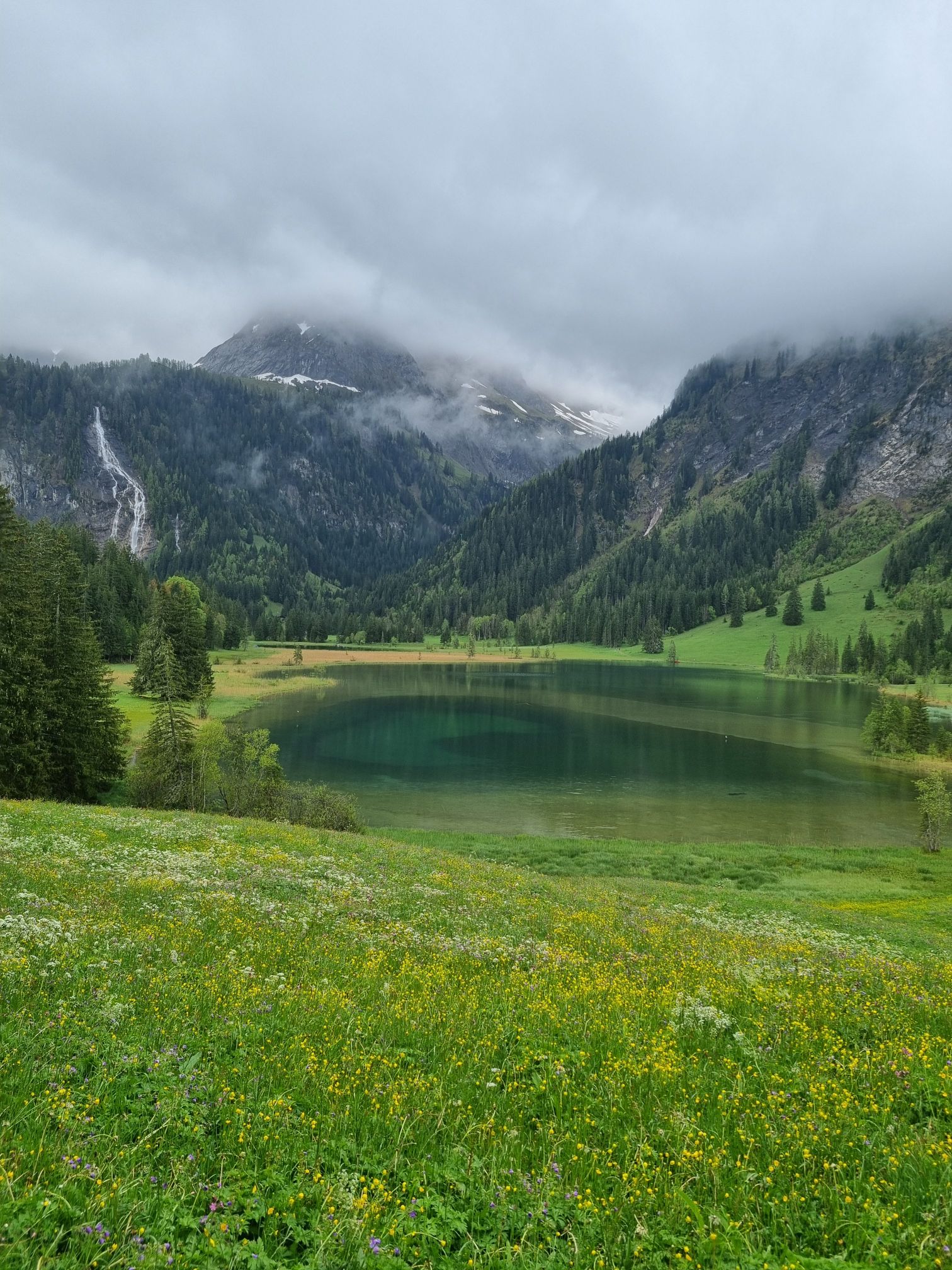 wp-17741870175023839130787494857027