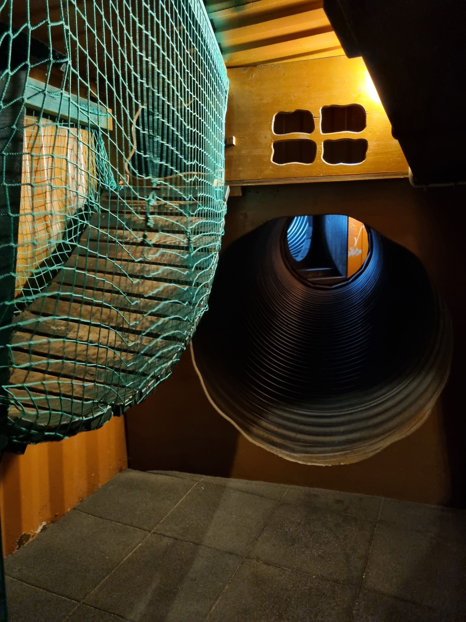 wp-17741871573626876637589892166879