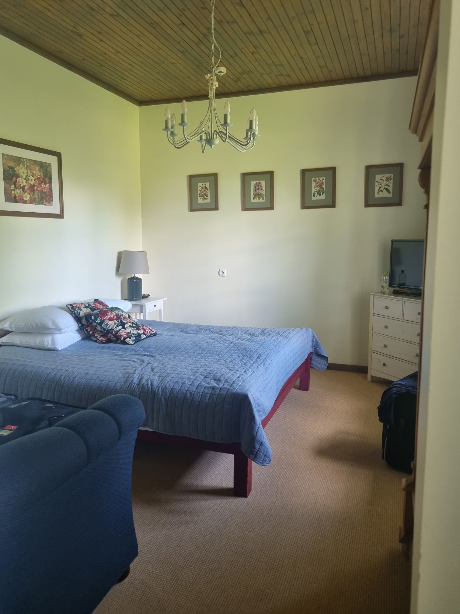 wp-17741934745427380815160382927857