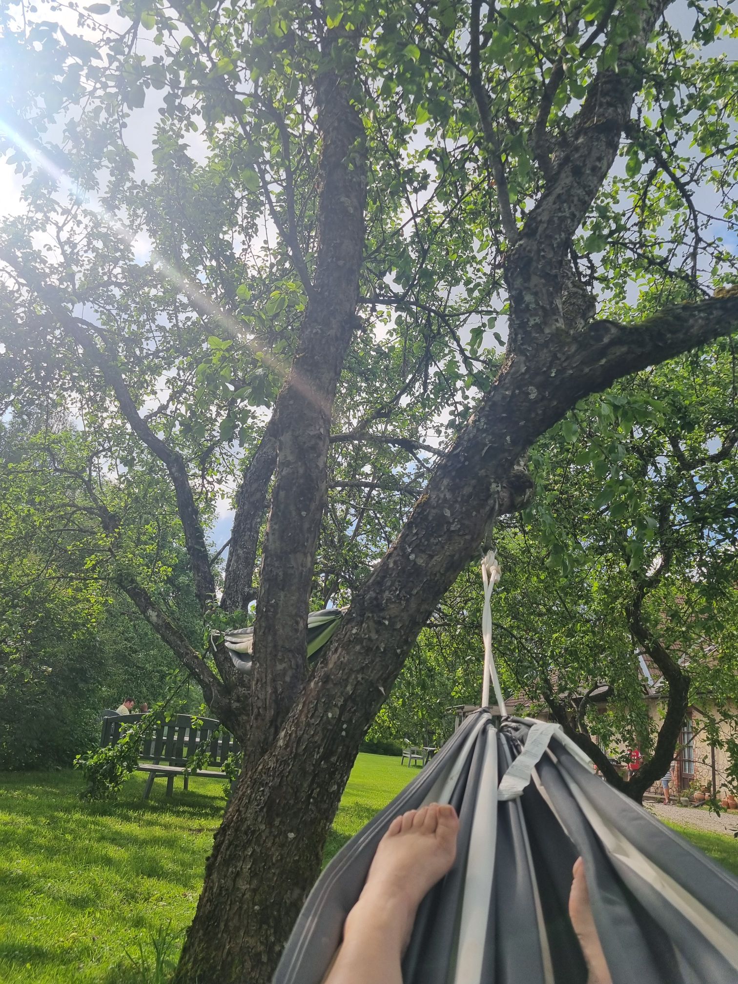 wp-17741934748317717568693088604602